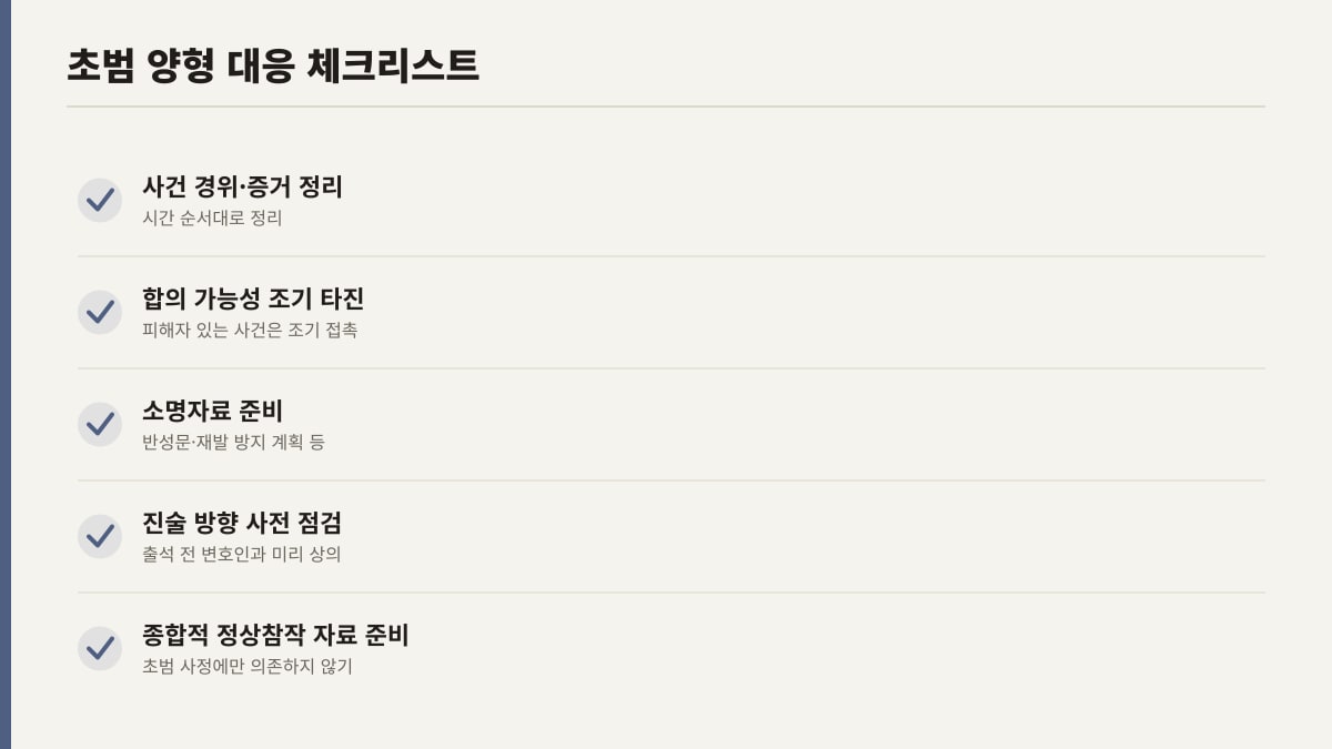 초범 양형 대응 준비 체크리스트